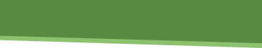 Participation
